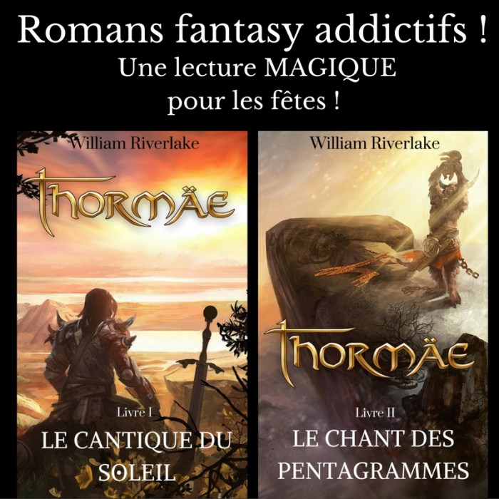 roman-fantasy-addictif